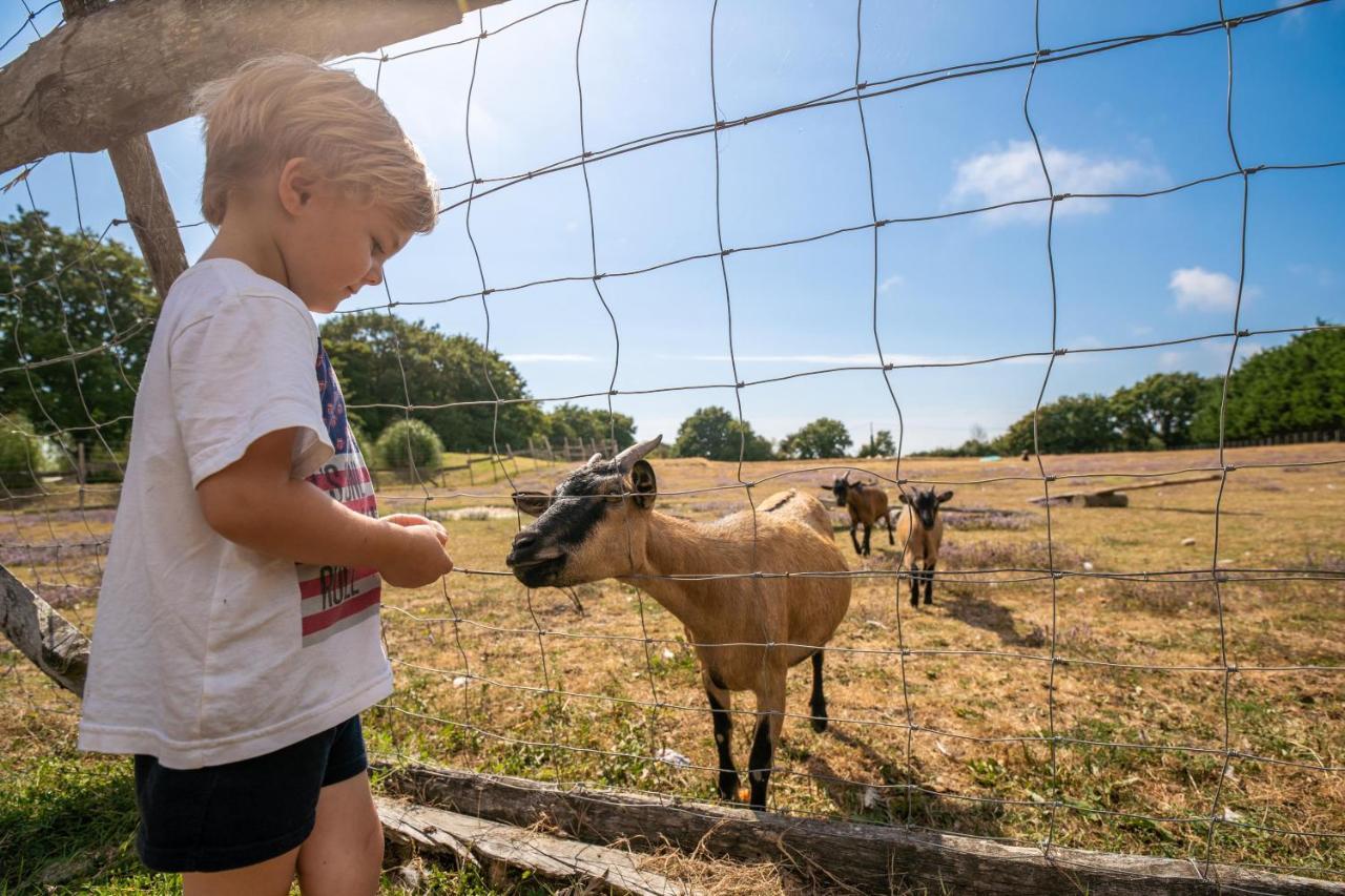 Camping Les Brillas Les Moutiers Eksteriør bilde